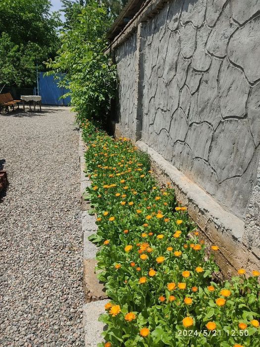 Продам дом, Кибрай,вдоль речки 6 соток