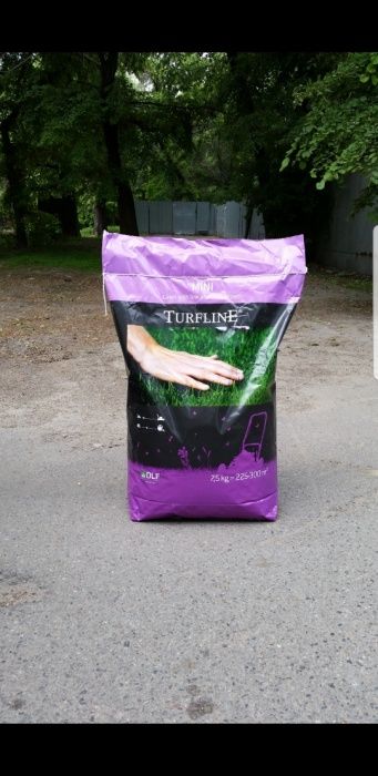 Газонная трава семена газон