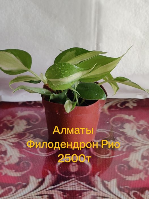 Продам Хобби для души