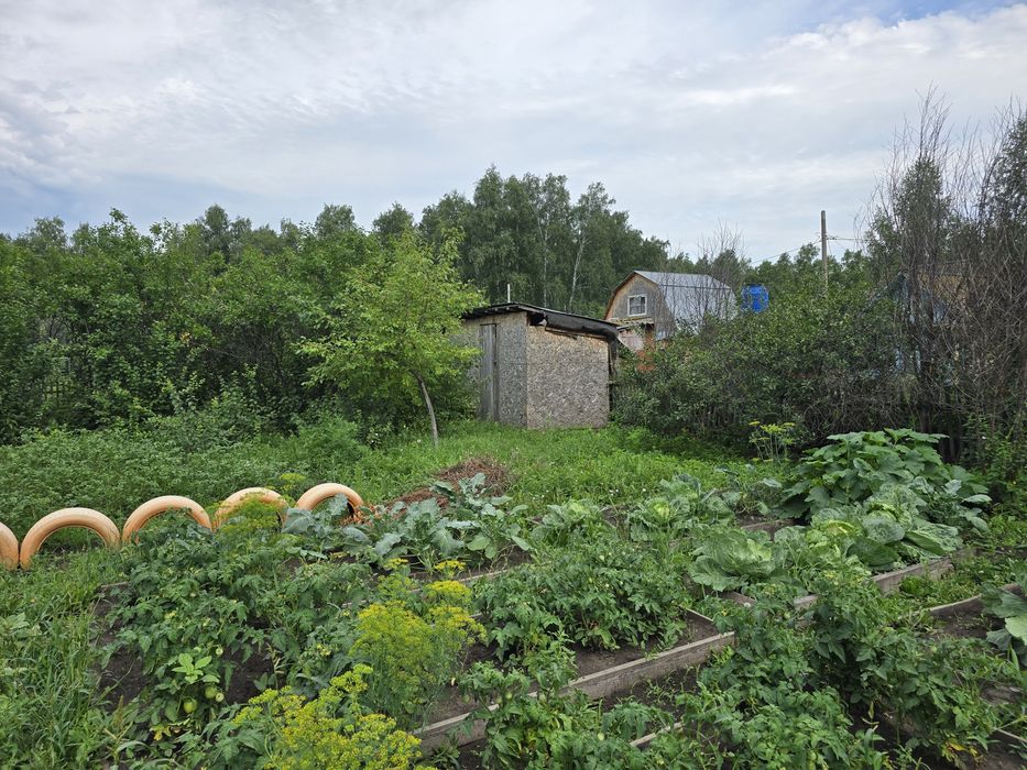 Продам дачу в районе Новопавловки