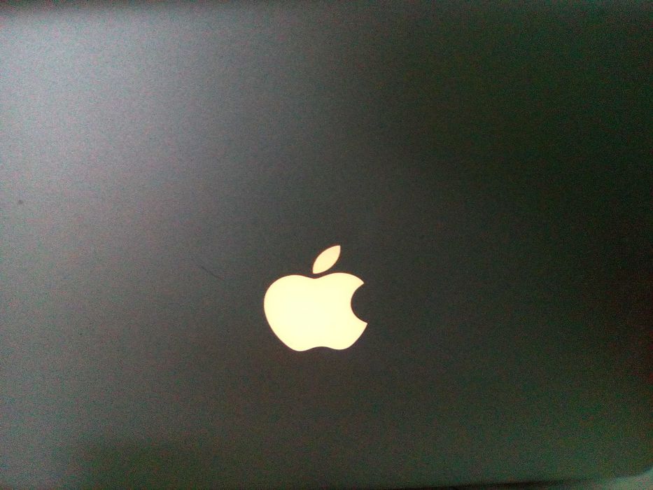 MacBook Pro(13.3-inch) /Intel Core 2 Duo ,2.53GHz/SSD 120 GB/4gb RAM/El Capitan