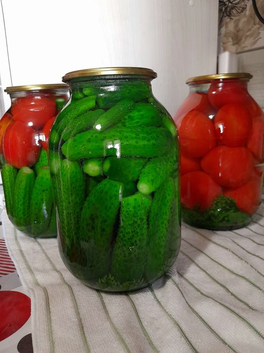 Помидоры консервированные, дачные.