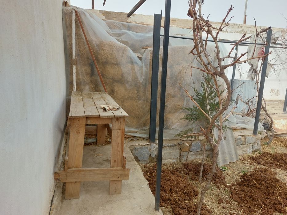 Самон пресс каттаси