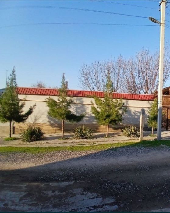 Nazarbek 1,5sotik sptildi