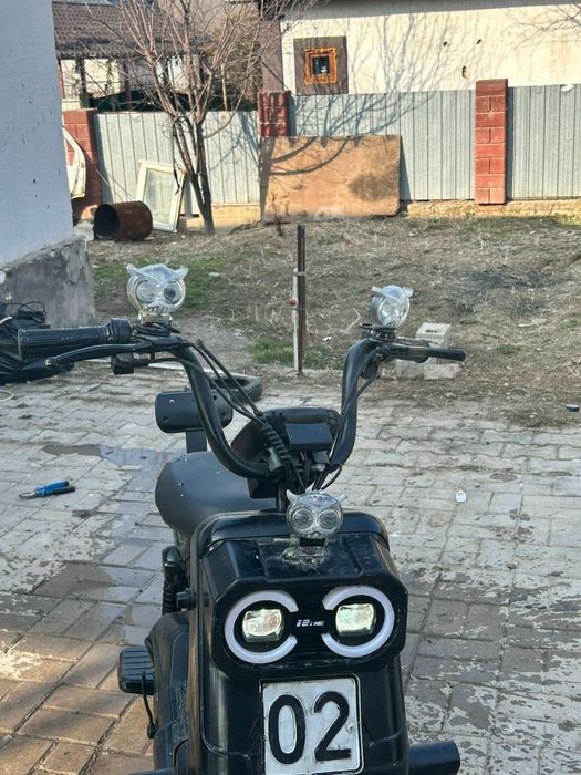 Электронды мапет