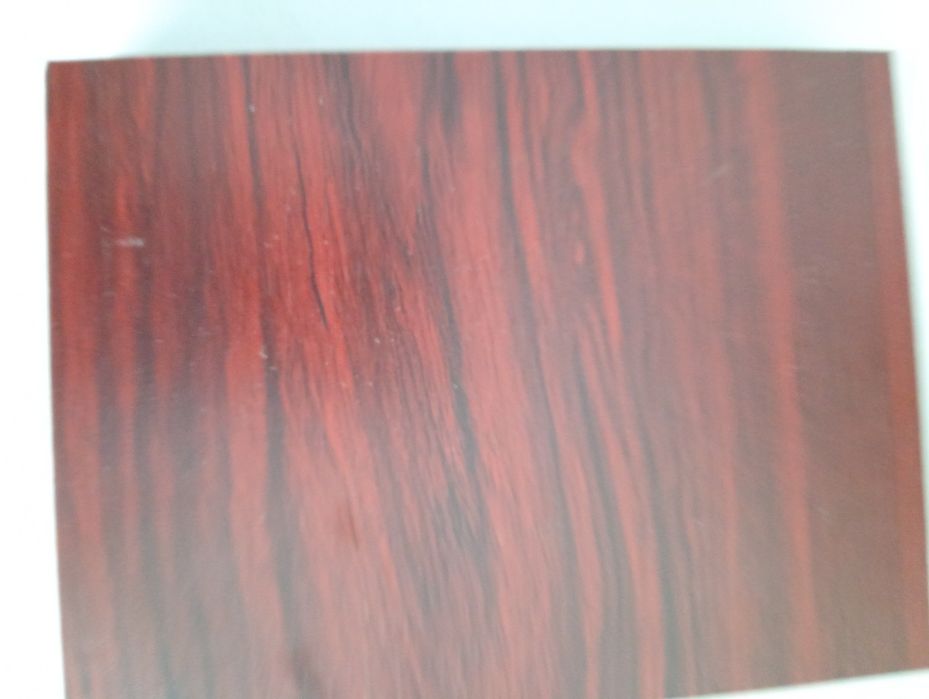 Vand moneda Senat cu imaginea unui senator renumit Neamt