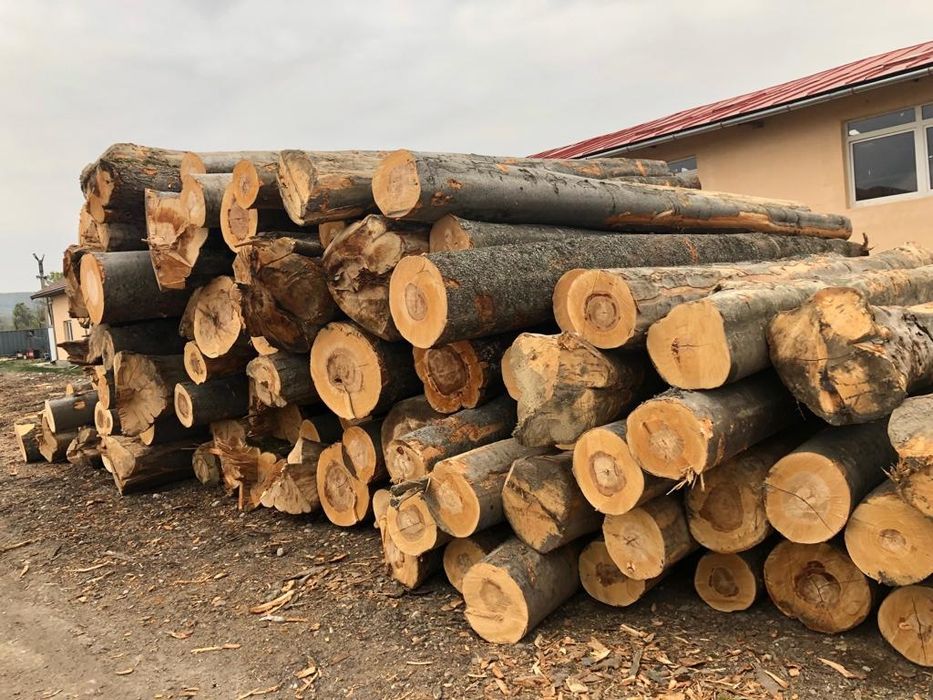 Lemne de foc de vanzare