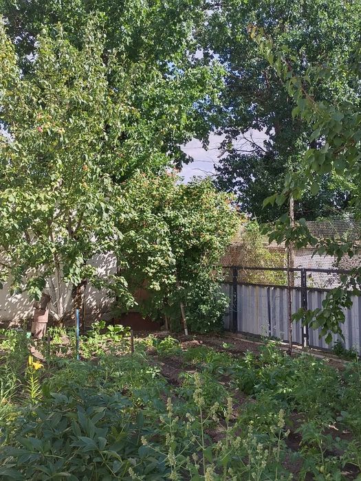 Продам котедж 64 кв.м