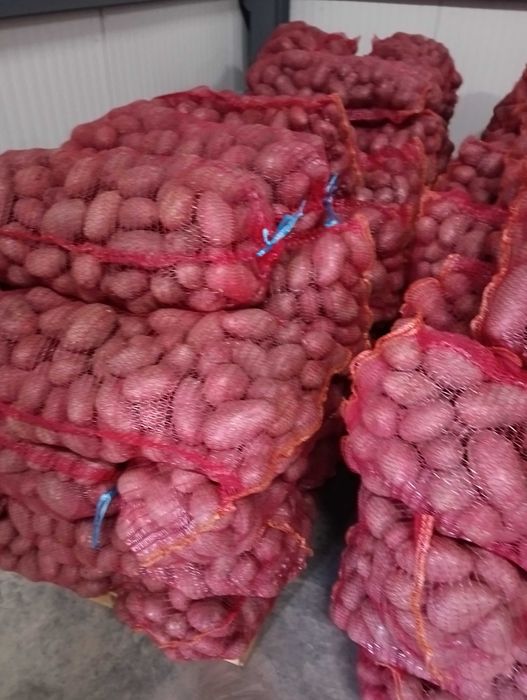 Cartofi consum si pentru animale