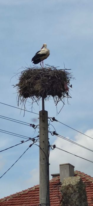 Продава се Къща в Дупница - 185 кв.м за 217 €/кв.м - Снимка #13