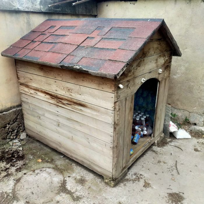 It ini bor mustahkam ishlangan