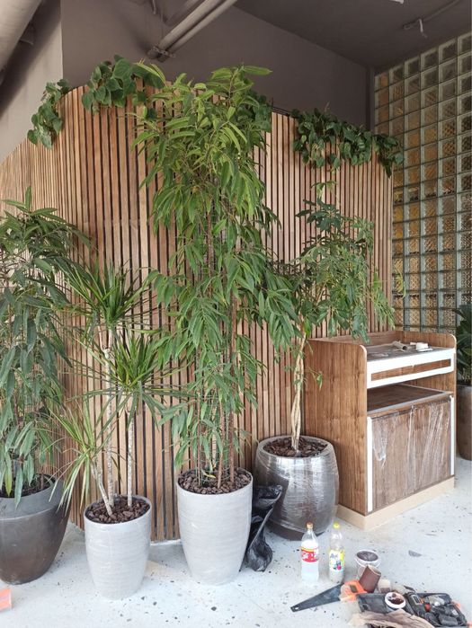 Мебель на заказ любой сложности