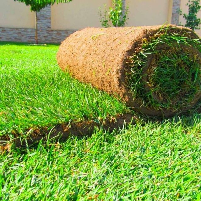 Gazon landshaft va gul kocatlari