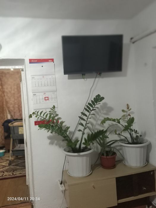 Недвижимость дом