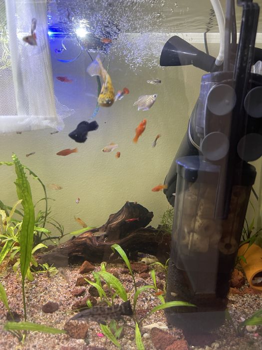 Аквариум 150 и 40 литр