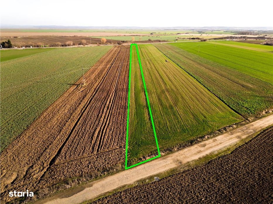 RECO teren 5000mp cu deschidere la DN19 Tamaseu