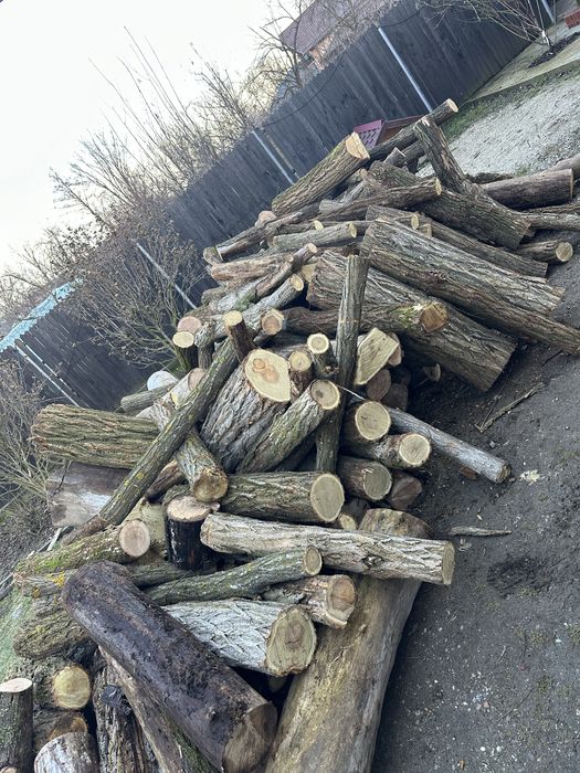 Vand lemne diferite esente