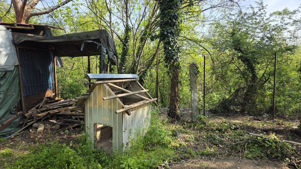 Donez cusca stare buna