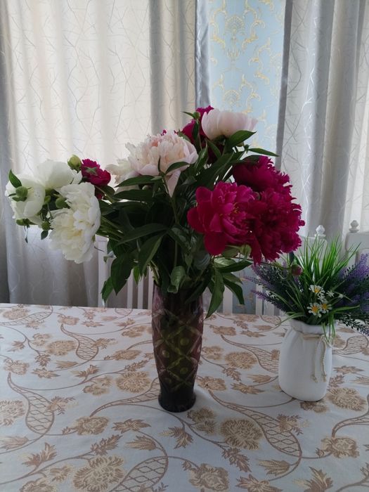 Продам букеты из пионов