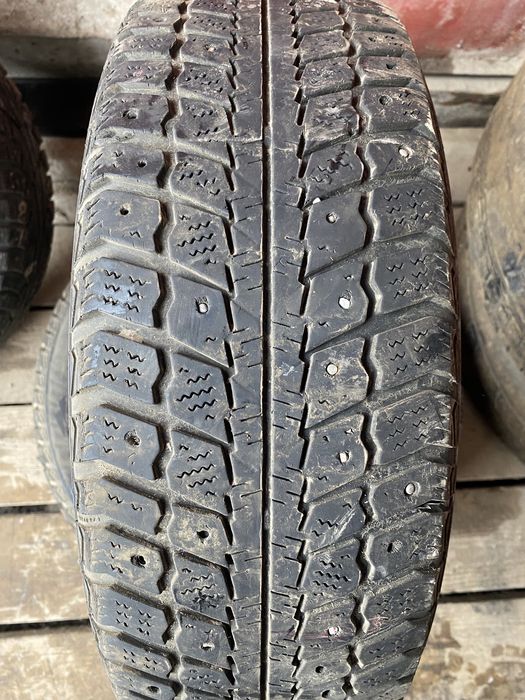 Зимнии болон