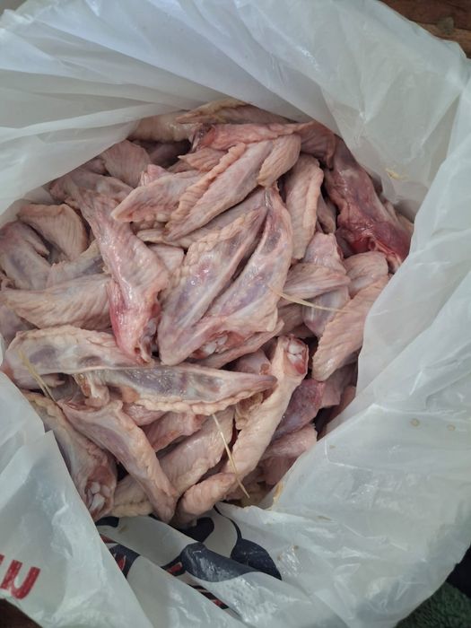 Итке тамақ сатылады. Собачий корм