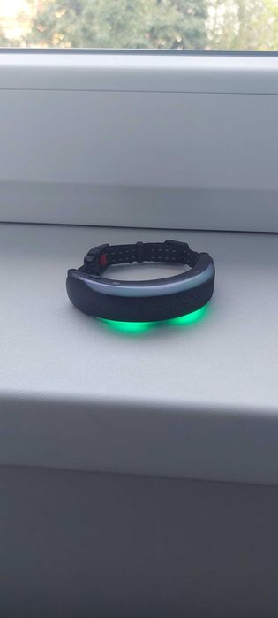 Gps pisici monitorizare