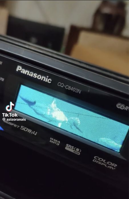 Мафон Panasonic Delfin