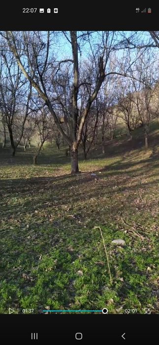 Бустонлиқ тумани Главасой