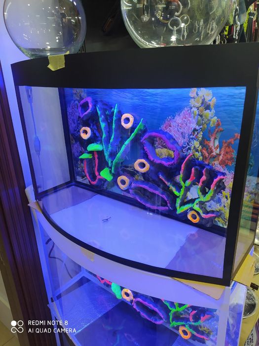 Akvarium Magazini Mirobod va Sergili