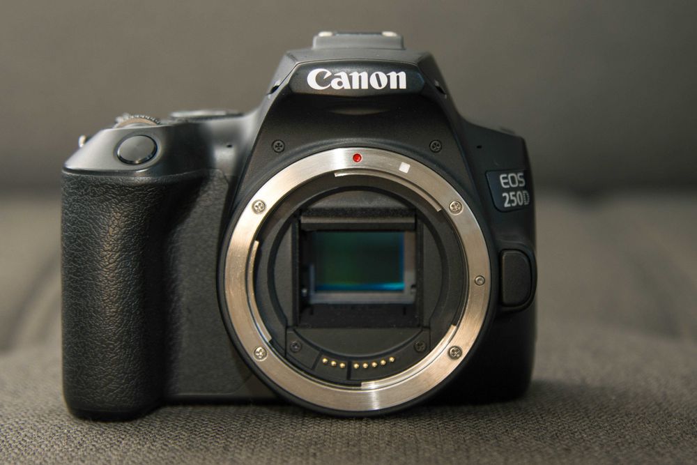 Canon 250D full kit + kit lens + Tamron 70-300mm