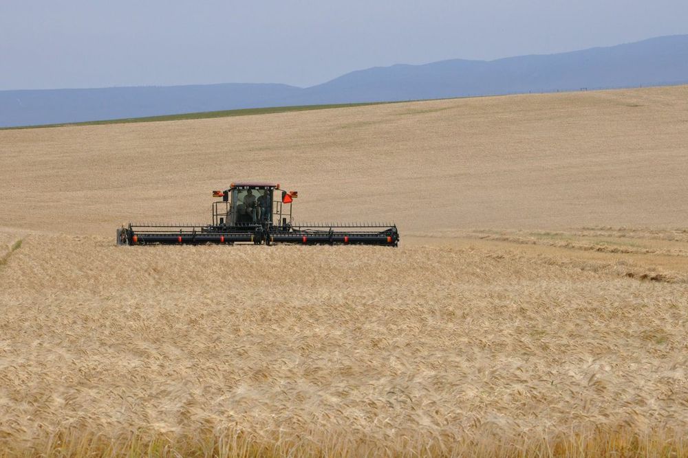 MacDon M155 МакДон М155