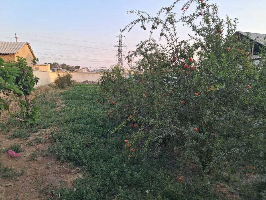 Uy hovli sotiladi 12 sotix