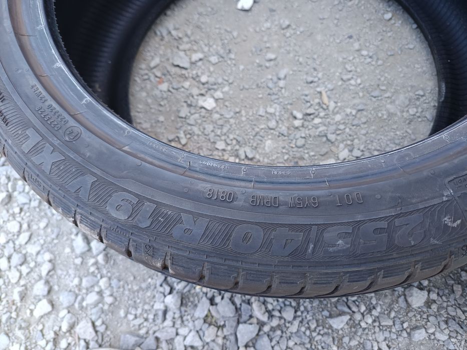 255 40 R 19 SEMPERIT Дот 0818