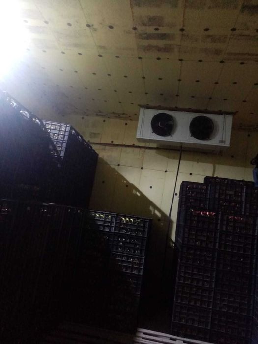 Ремонт холодильников и кондиционеров