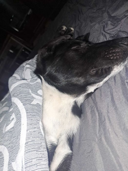 ДОМ за Миа София