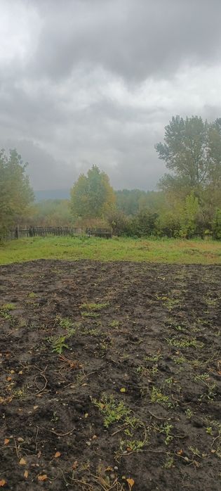 Домик в тарханке