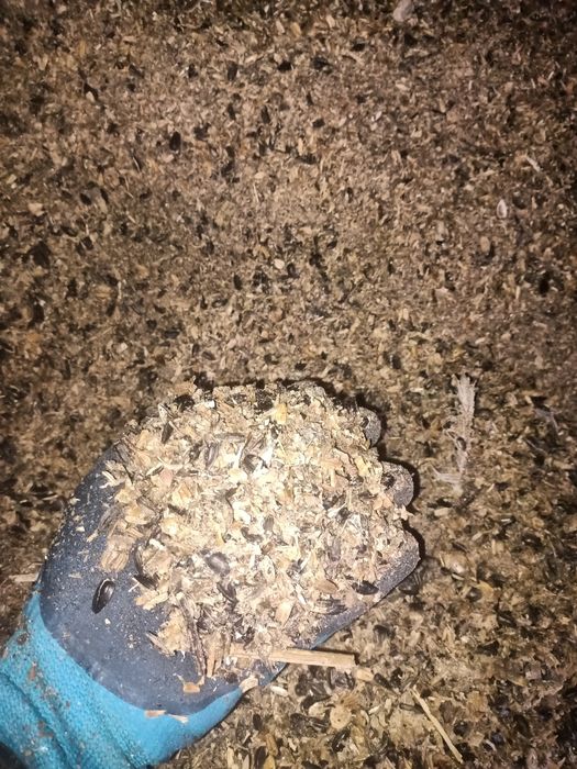 Продам отходы семечки