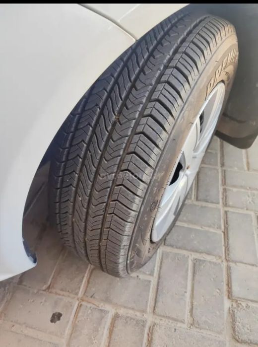 Jentra xolati alo kraskasi bor