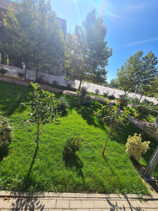 Amenajare Gradina - Gazon Rulouri - Iarba Verde - Peluza
