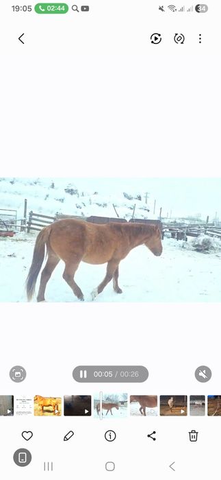 Мугалжар Кунан 2.5