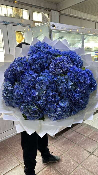 Цветы гортензия