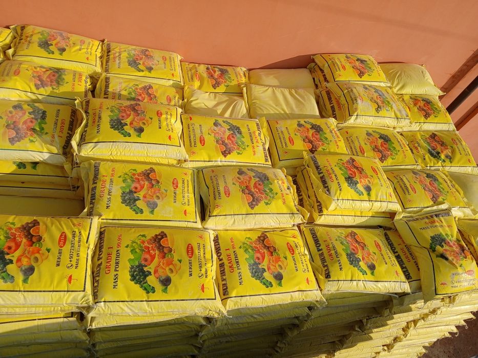 Oltingugurt kamok va molotoya