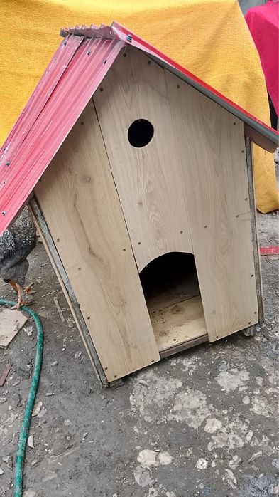 Cusca de caine talie medie