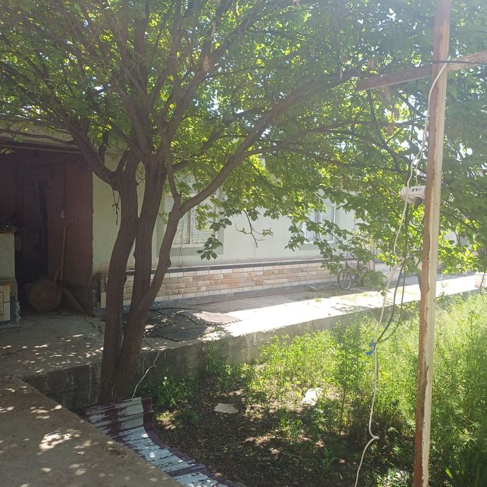 Котеж солтилади 6 сотих