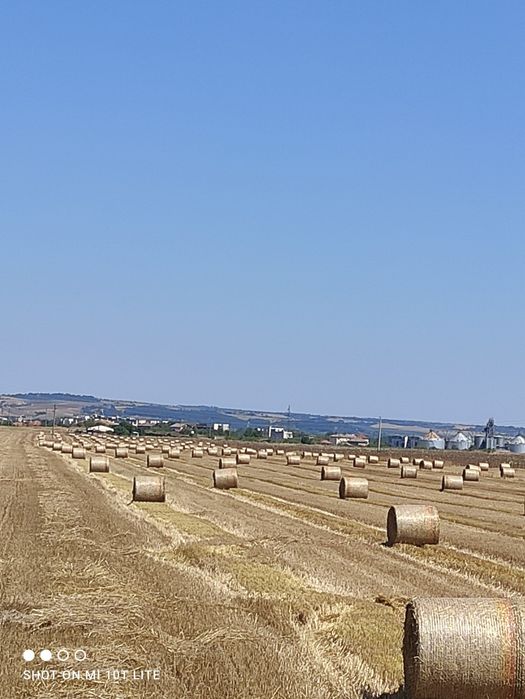 Продавам Ролонни бали ечимик,пшеница,сено и люцерна