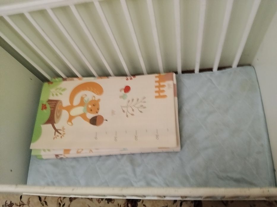 Отдам даром бесплатно