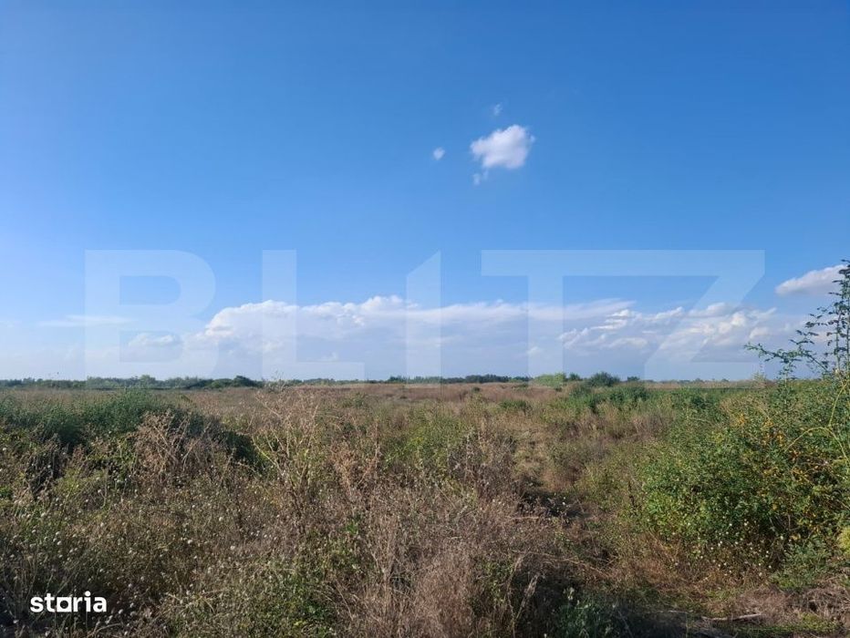 teren de 4,6 hectare de vanzare