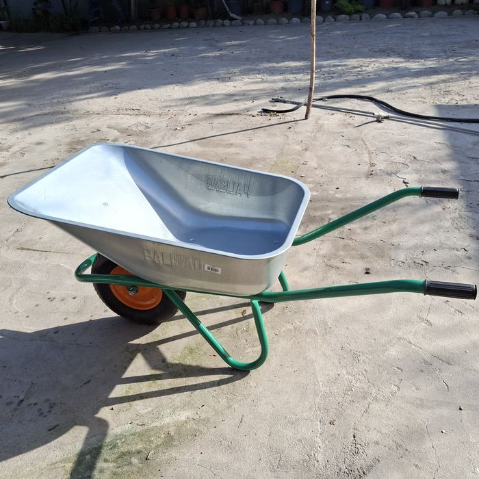 Растения,кусарники