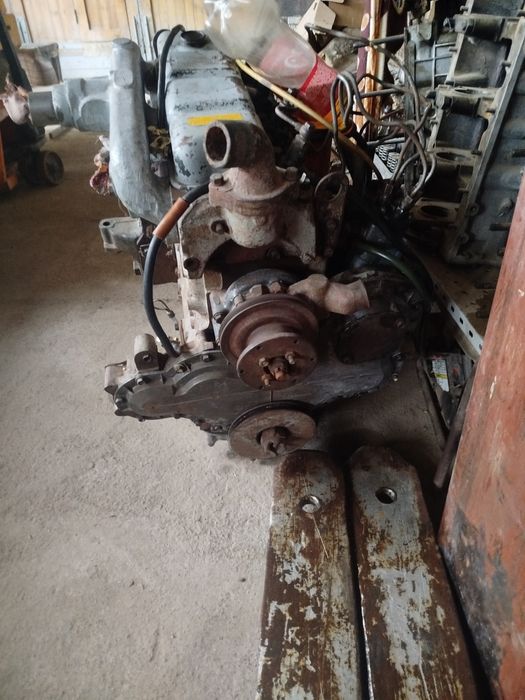 Mator balcankarni matori