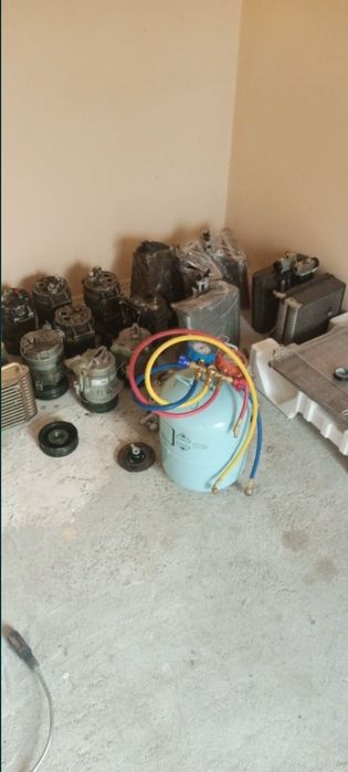 Kandisaner Kaptiva malibga koʻbit  neksiya jentra bor